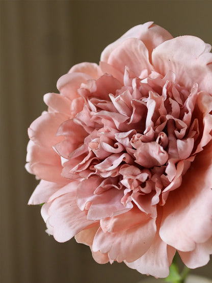 Dusty Pink Peony Flower | Botane | Catalog Interiors UK