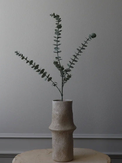 Eucalyptus Leaves