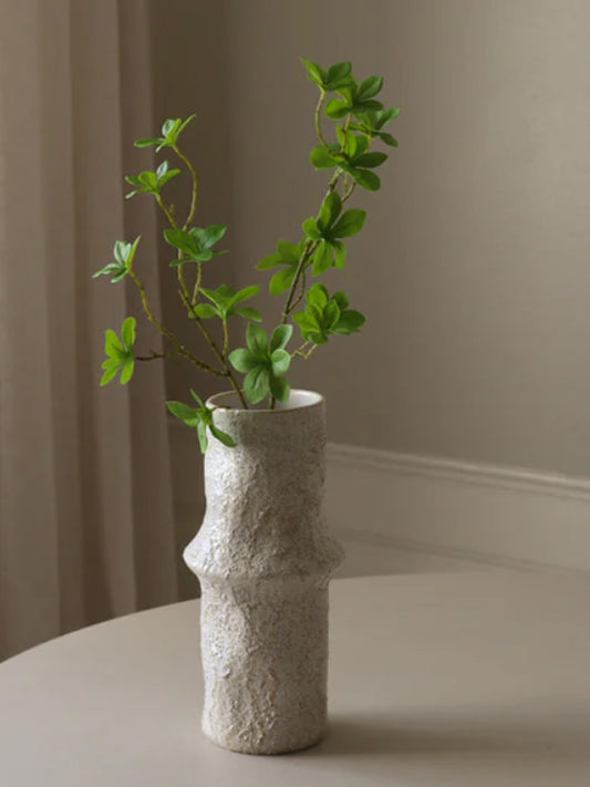 Green Enkianthus Perulatus Leaves | Botane | Catalog 