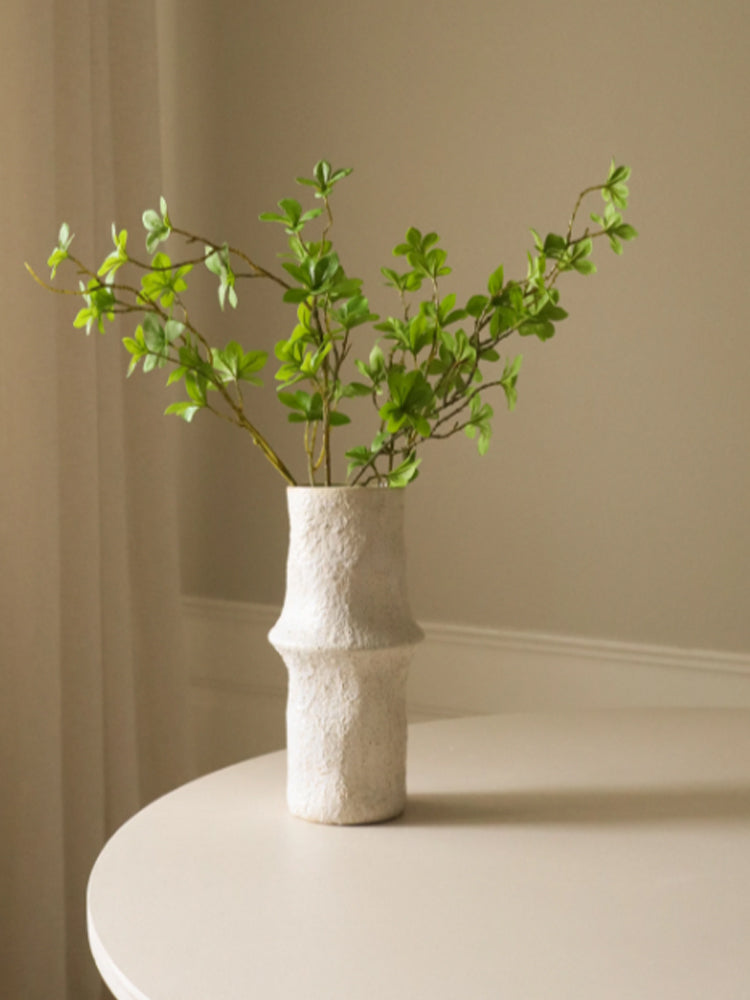Green Enkianthus Perulatus Leaves | Botane | Catalog