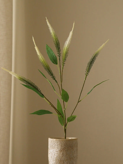 Green Mini Amaranthus