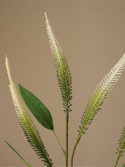 Green Mini Amaranthus