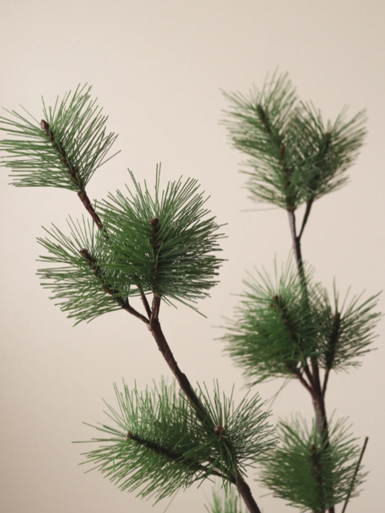 Green Pine Branch | Botane | Catalog Interiors 