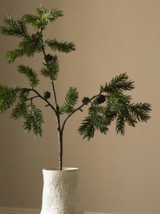 Green Pine Branch with Fir Cone