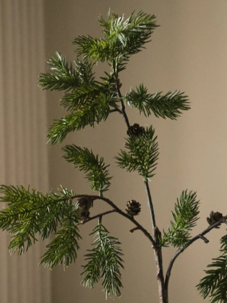 Green Pine Branch with Fir Cone
