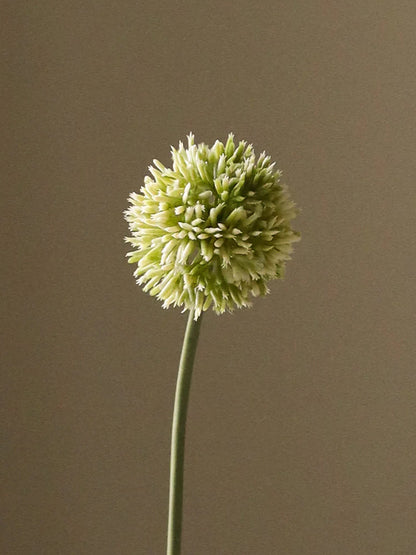 Green Small Allium Flower