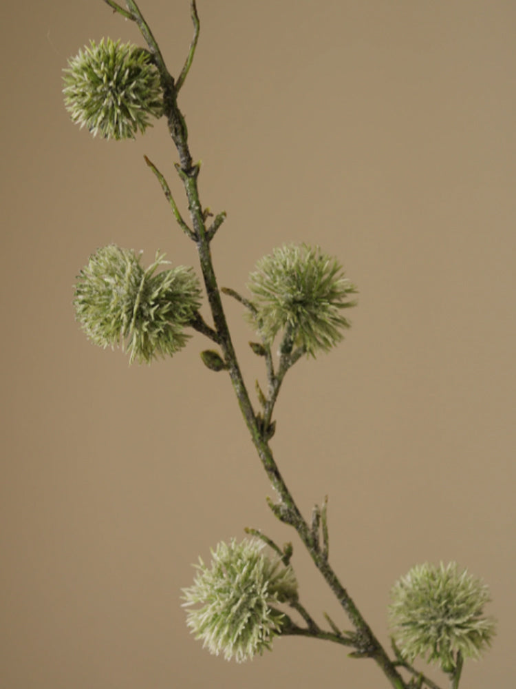 Green Thistle Ball Branch | Botane | Catalog Interiors 