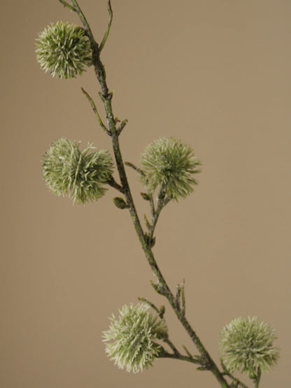 Green Thistle Ball Branch | Botane | Catalog Interiors 