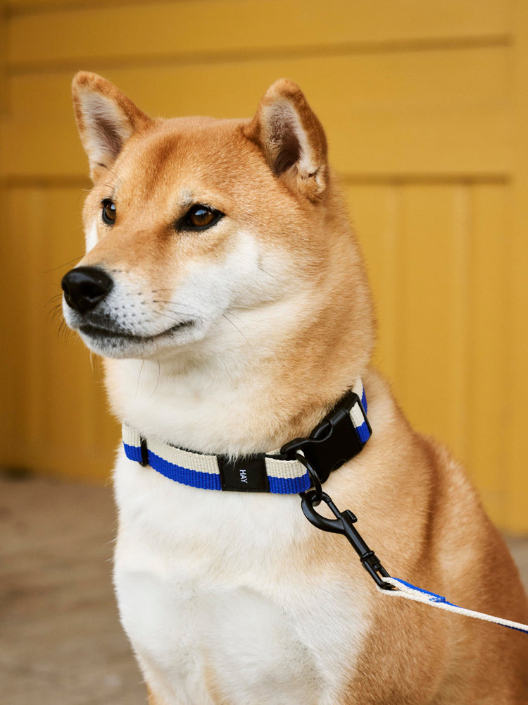 HAY Dogs Collar Flat | Catalog Interiors 