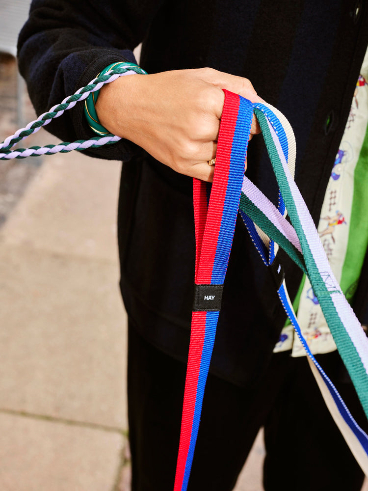 HAY Dogs Leash Flat