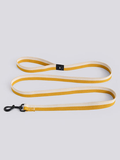 HAY Dogs Leash Flat