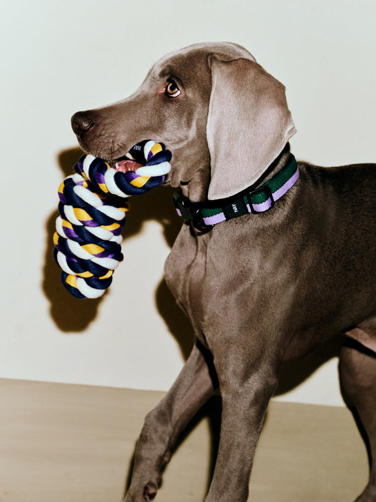 HAY Dogs Rope Toy | Catalog Interiors 
