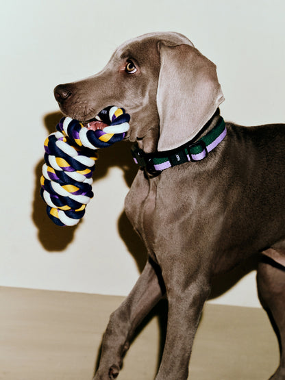 HAY Dogs Rope Toy | Catalog Interiors 