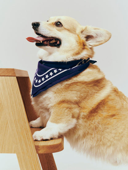 HAY Recycled Dogs Scarf