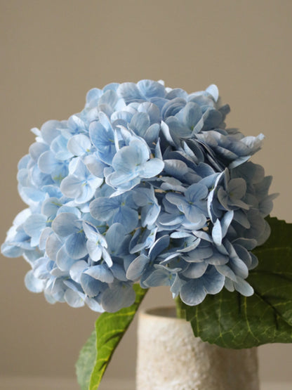 Hydrangea Flower