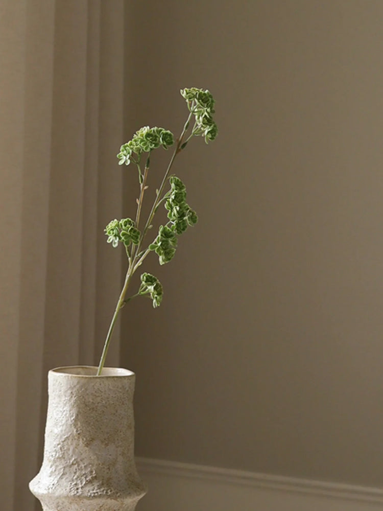 Light Green Succulent Stem