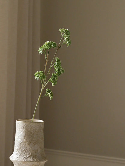 Light Green Succulent Stem