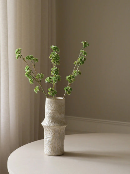 Light Green Succulent Stem