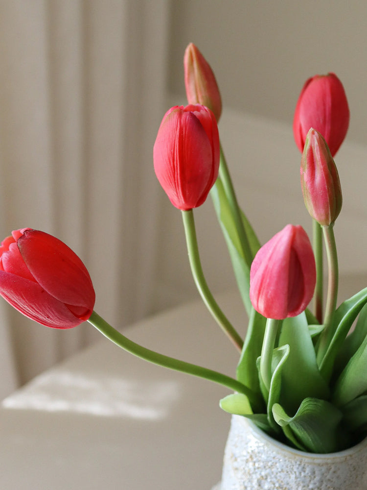 Light Red Tulip Bundle | Botane | Catalog Interiors UK