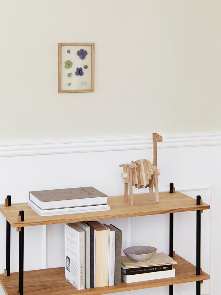 Moebe Shelving System S.65.1.A | Catalog Interiors 