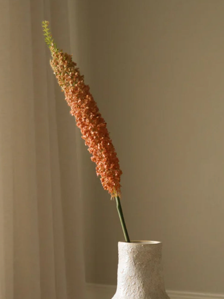 Orange Eremurus Large Foxtail Lily | Botane | Catalog Interiors 