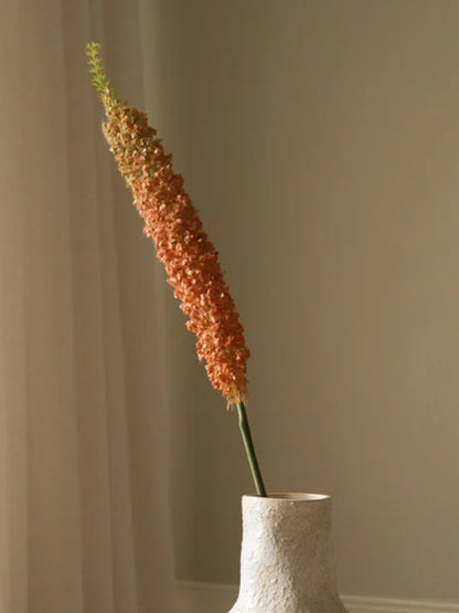Orange Eremurus Large Foxtail Lily | Botane | Catalog Interiors 
