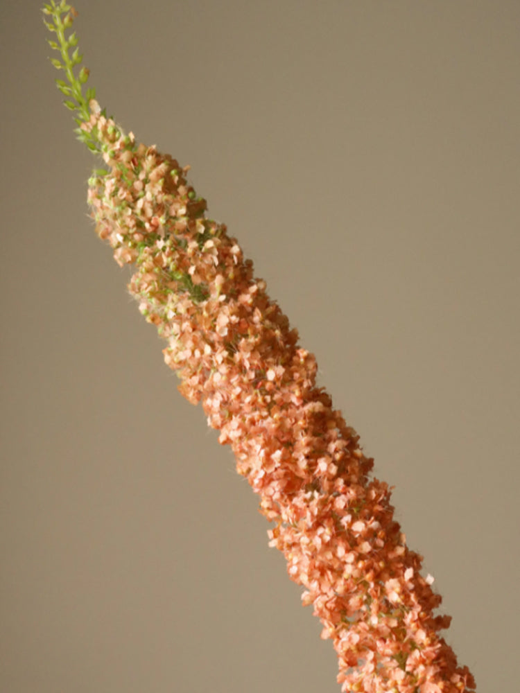 Orange Eremurus Large Foxtail Lily | Botane | Catalog Interiors 
