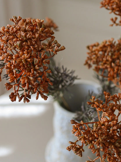 Orange Skimmia Berry Branch | Botane | Catalog Inteirors UK