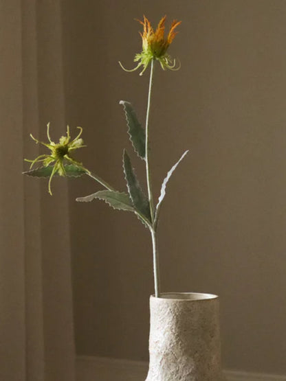Orange Thistle Flower
