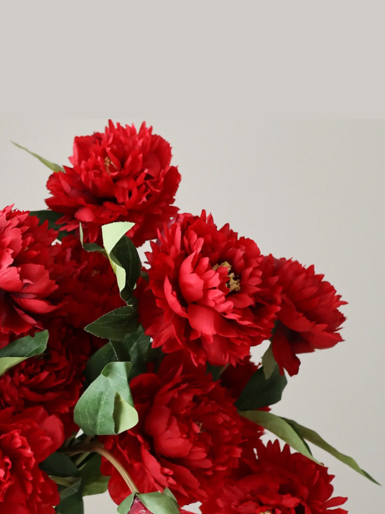 Peony Flower | Botane | Catalog Interiors