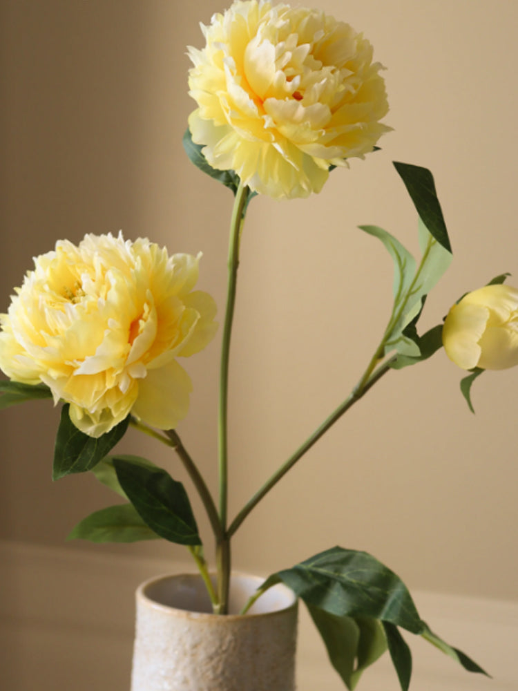 Yellow Peony Flower | Botane | Catalog Interiors UK