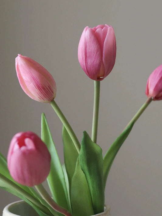 Pink Tulip Bundle