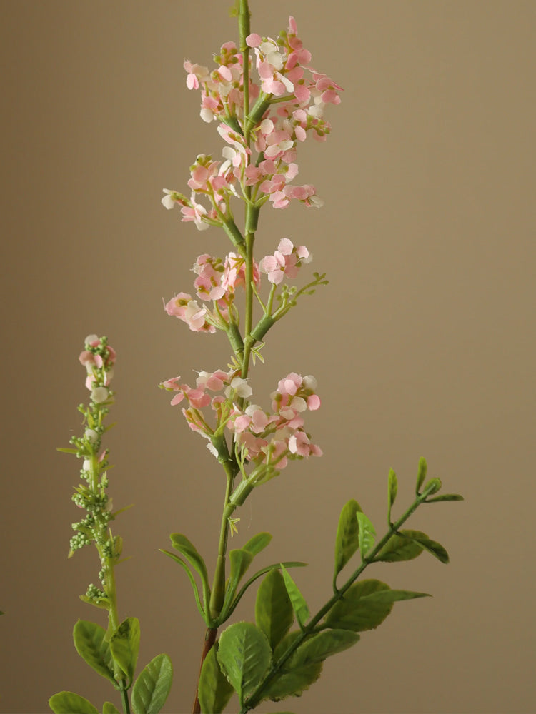 Light Pink Wild Flower