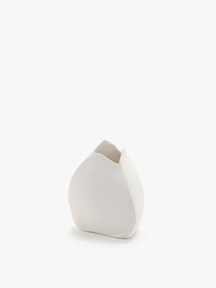 Porcelain White Vase