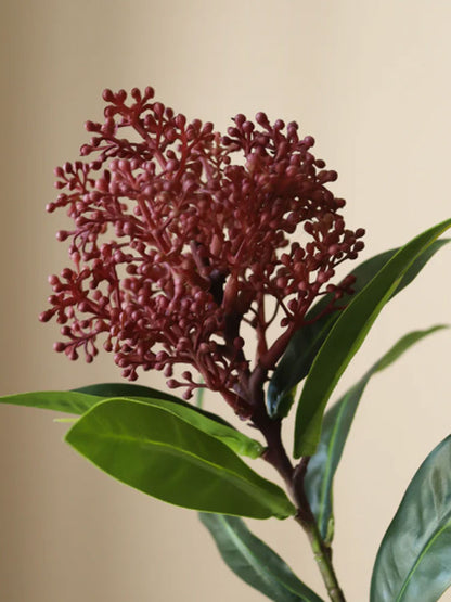 Purple Skimmia Berry Branch