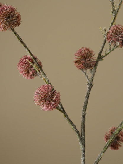 Purple Thistle Ball Branch | Botane | Catalog Interiors 