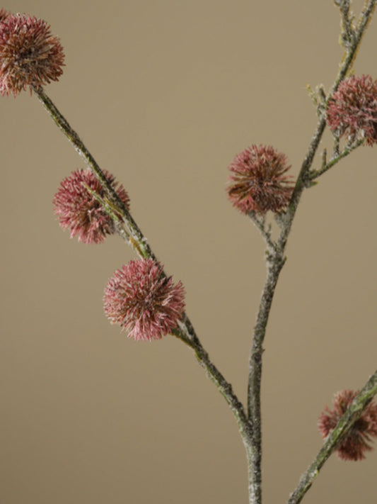 Purple Thistle Ball Branch | Botane | Catalog Interiors 