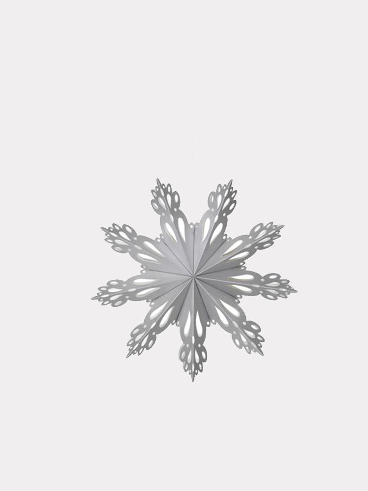 Snowflake Star