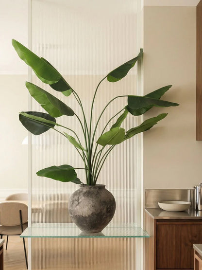 Traveller Palm