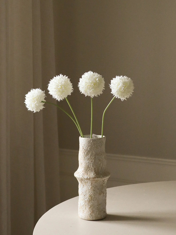 White Allium Bulb