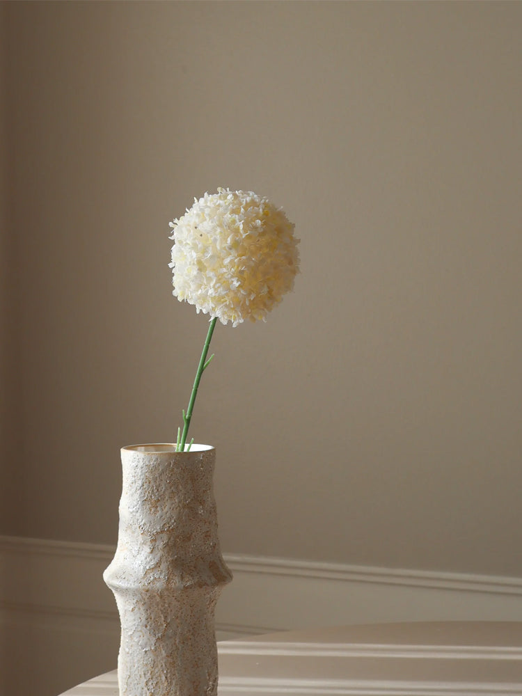 White Allium Giganteum
