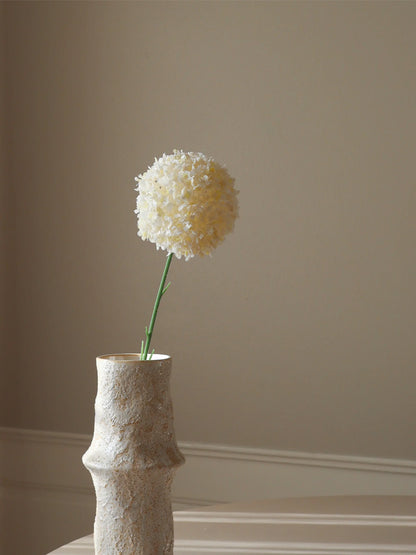 White Allium Giganteum