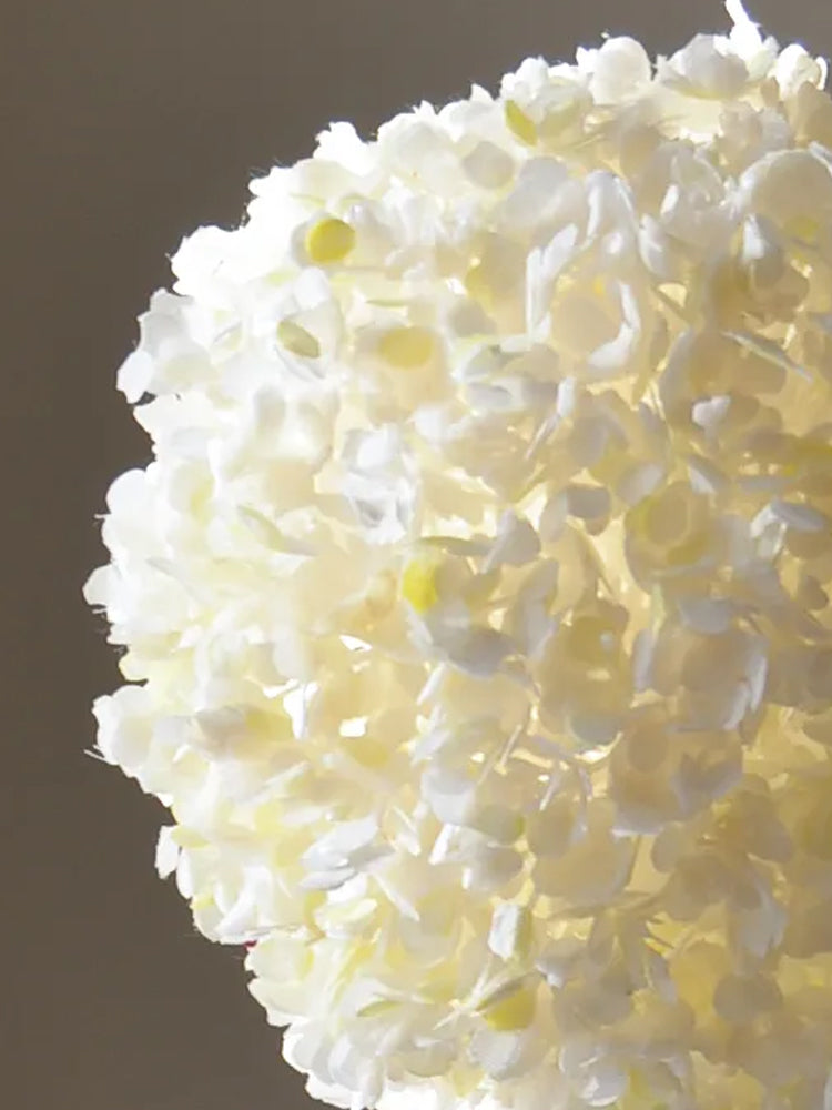 White Allium Giganteum