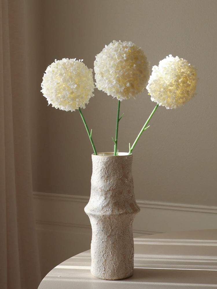 White Allium Giganteum