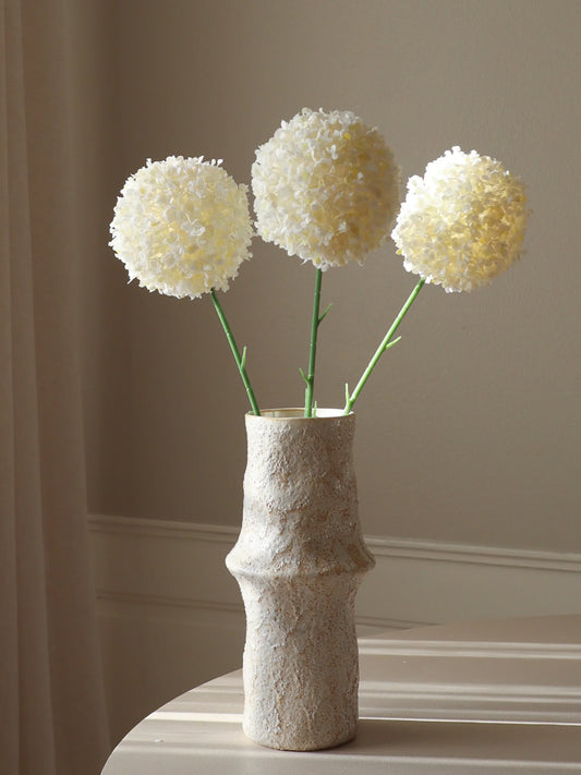White Allium Giganteum
