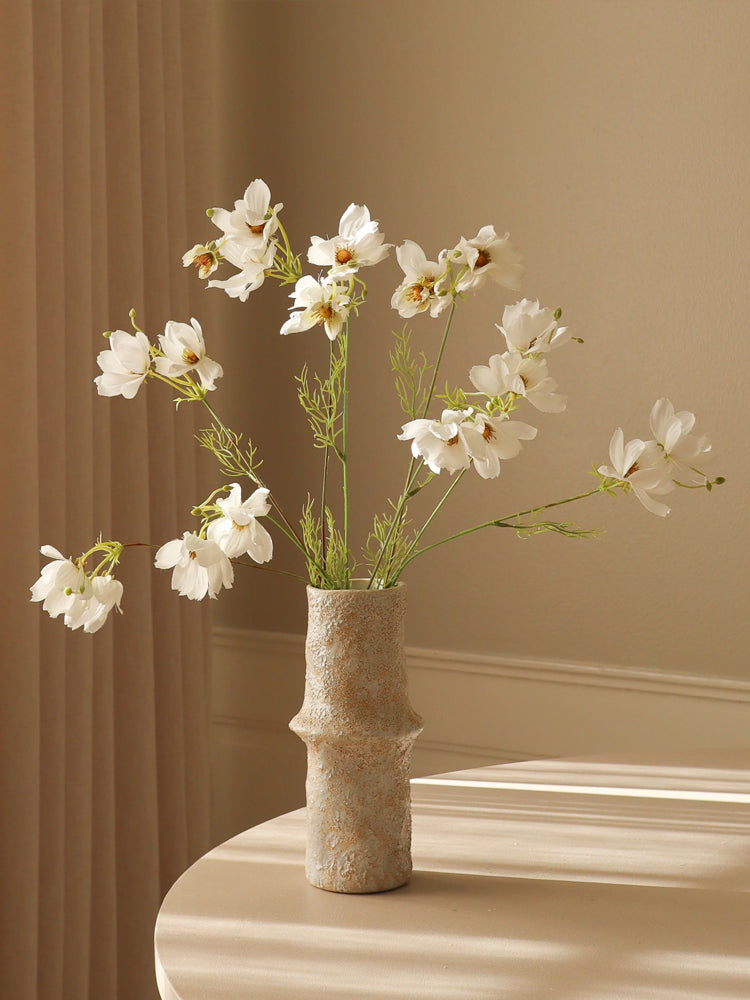 White Large Cosmo Daisy Flowers