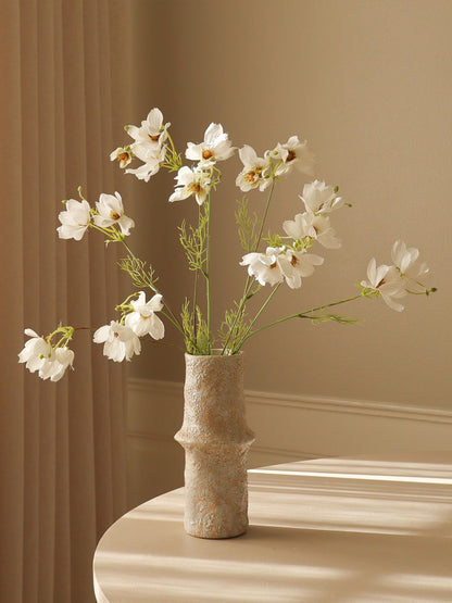 White Large Cosmo Daisy Flowers