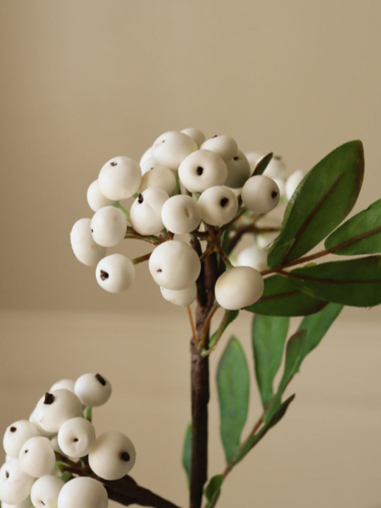 White Small Snowberry Branch | Botane | Catalog Interiors 