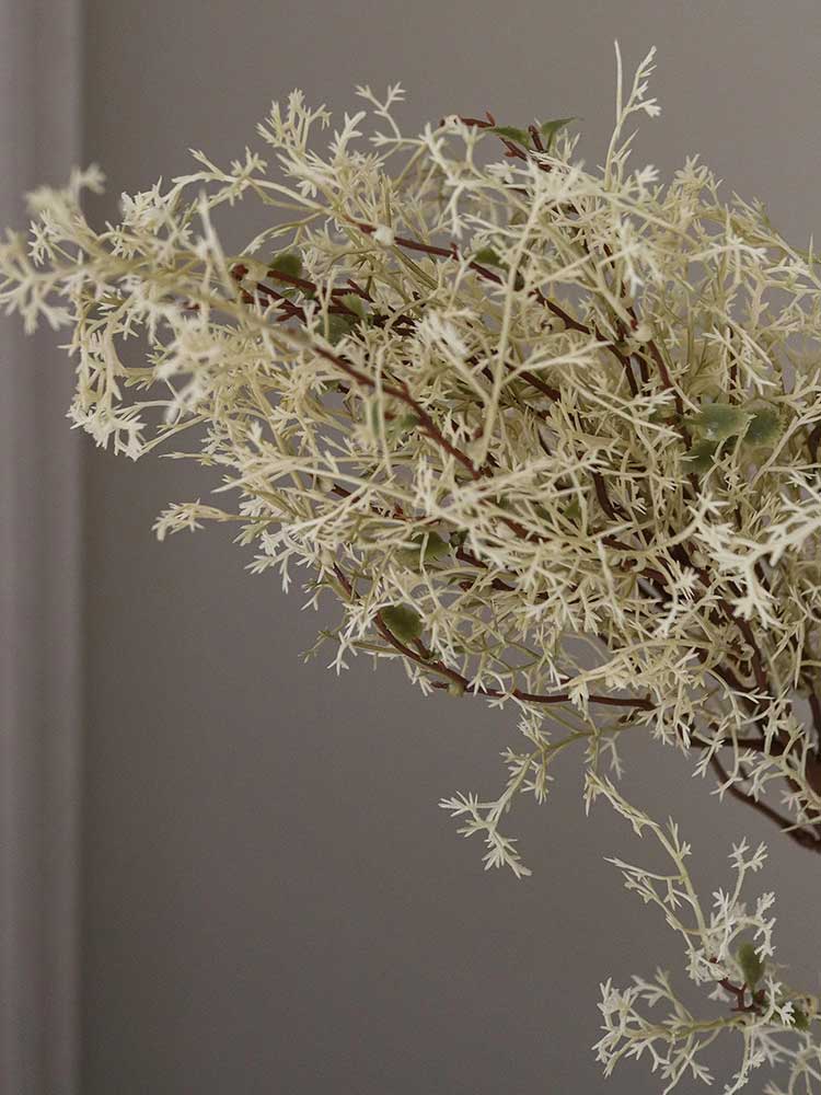 White Smoke Branch | Botane | Catalog Interiors UK
