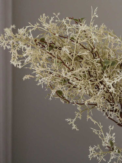White Smoke Branch | Botane | Catalog Interiors UK